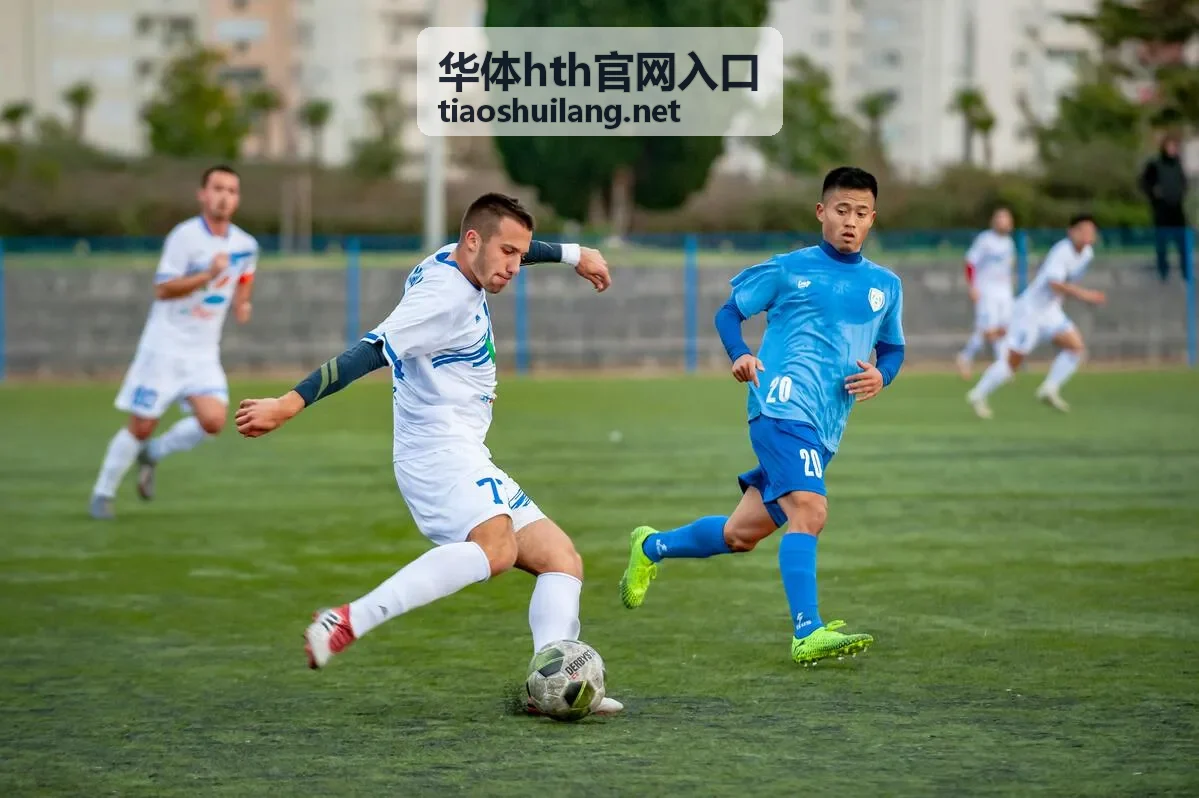 华体hth官网入口登录验证码接收检查