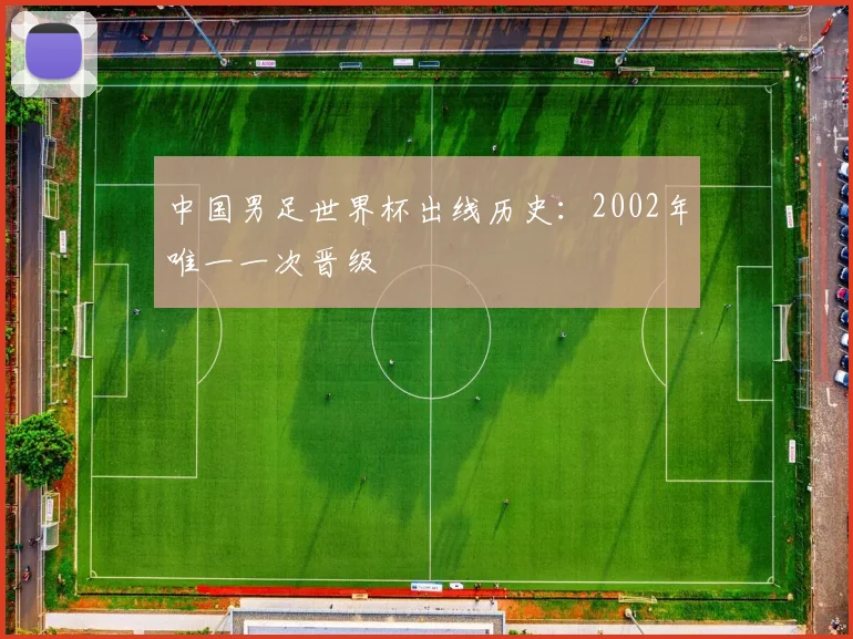 中国男足世界杯出线历史：2002年唯一一次晋级